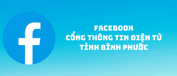 cong thong tin dien tu